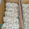 Reiner weißer Knoblauch-Lieferant in China mit niedrigstem Preis